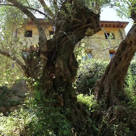 Almora * Pietrasanta