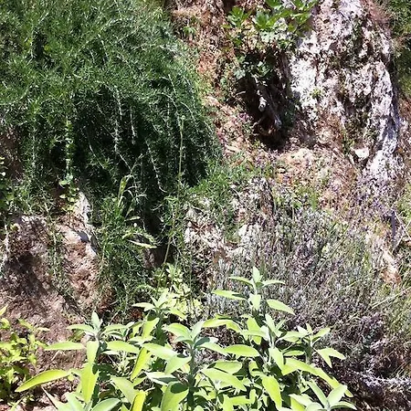 Almora