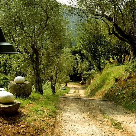 Almora *